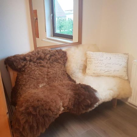 Ferienwohnung Klothilde Dietingen المظهر الخارجي الصورة