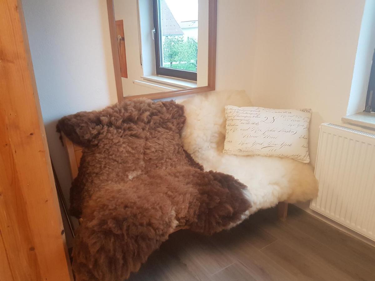 Ferienwohnung Klothilde Dietingen المظهر الخارجي الصورة